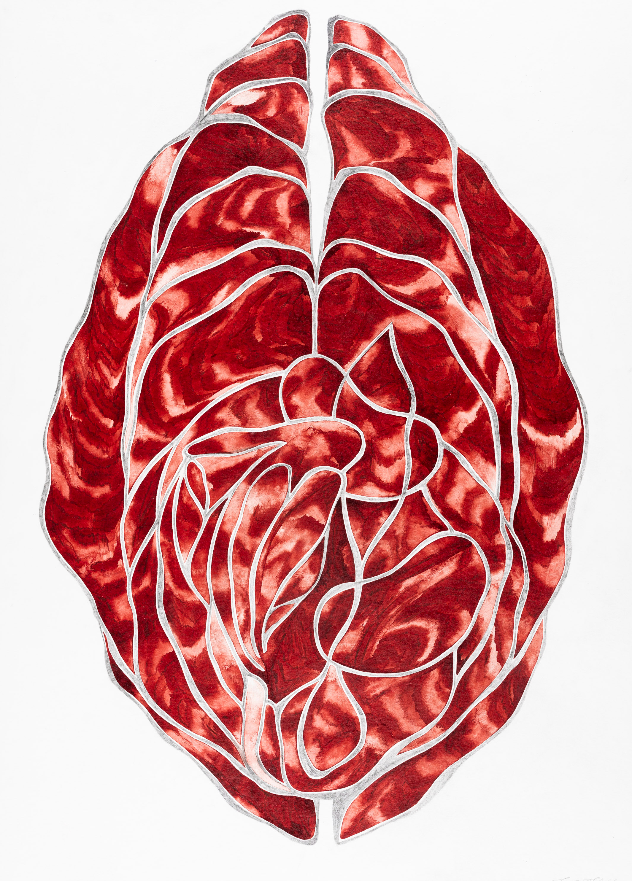 Blodrosa II