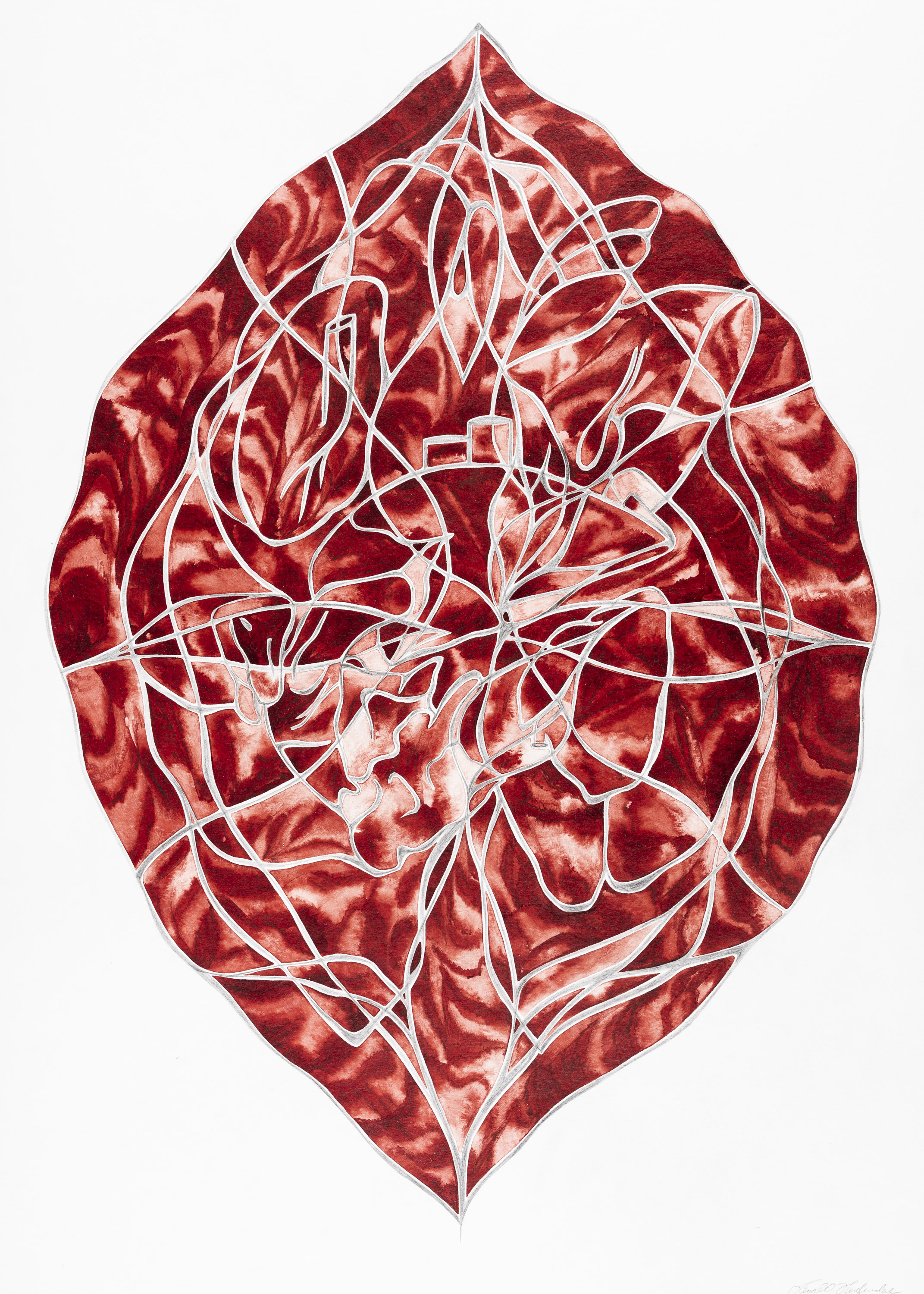 Blodrosa I