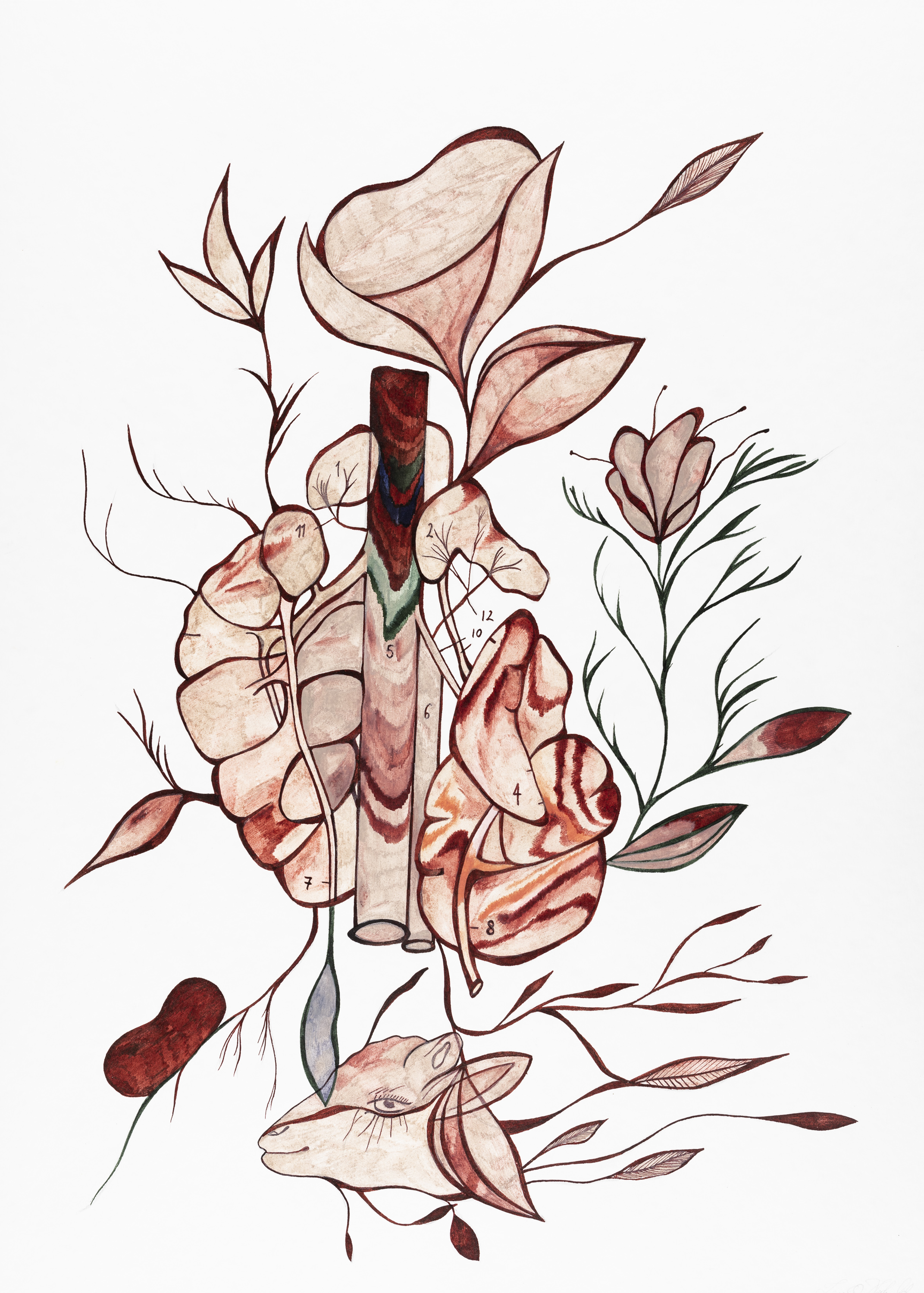 Dyreliv II