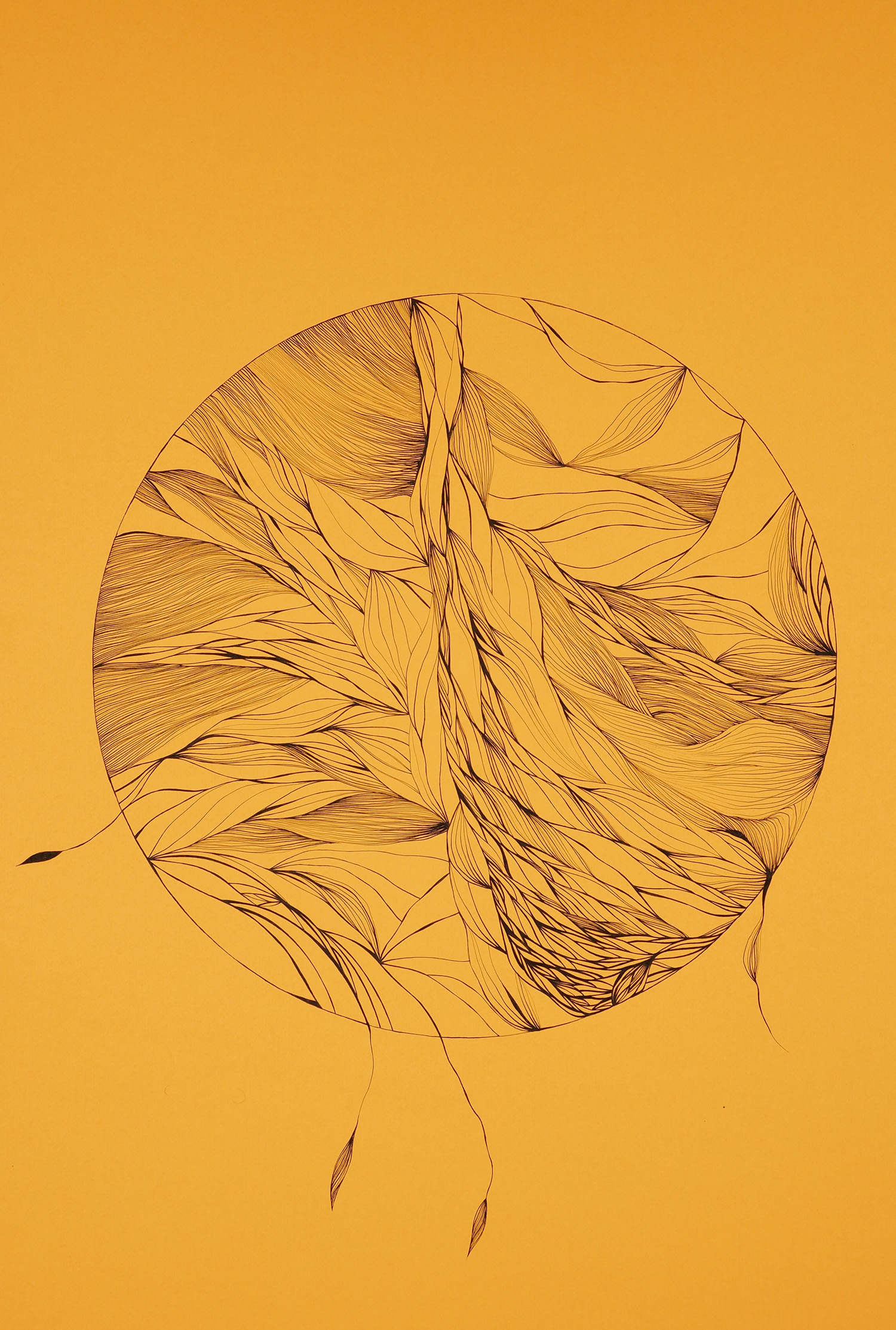 Natura
